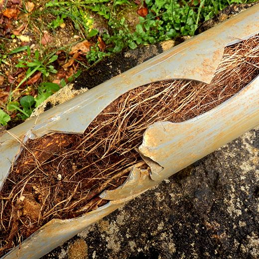 Same Day Drain Sewer & Rooter Pros Across Tuftonboro